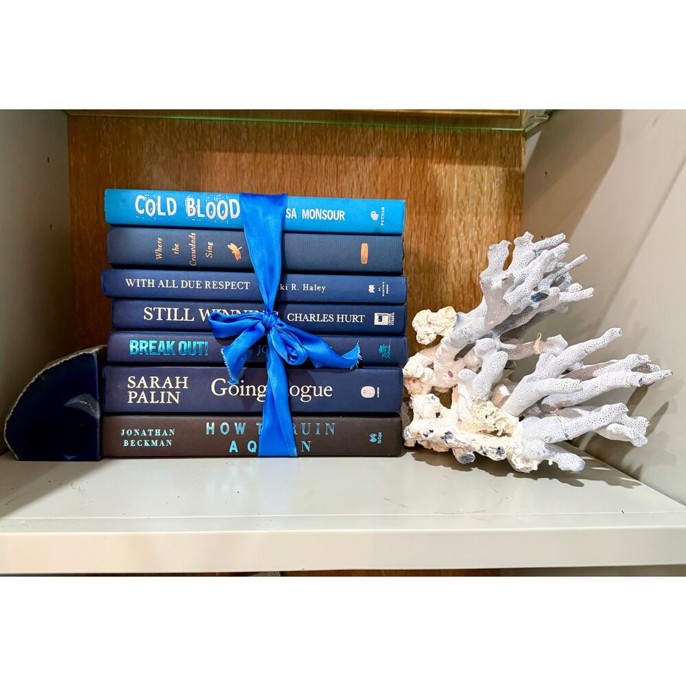 Vintage ombré effect blue Decorative Book collection